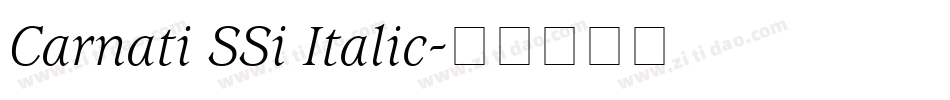 Carnati SSi Italic字体转换